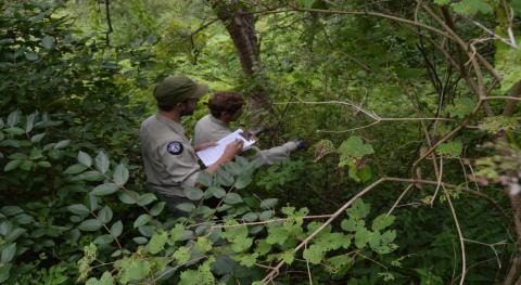 Two crew members scouting a forest 