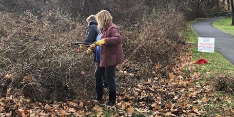 Side view of two volunteers cutting brush with loppers. Sign in background.
